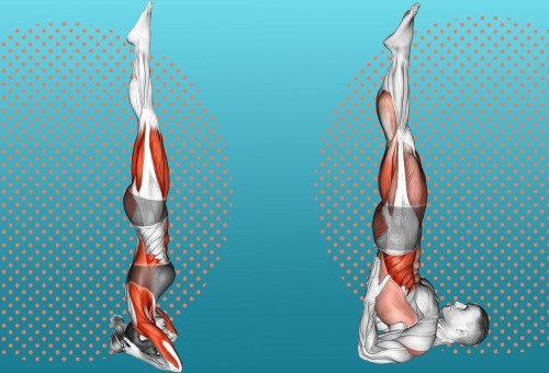 Szkolenia kompetencyjne SJIP. Anatomia Jogi.